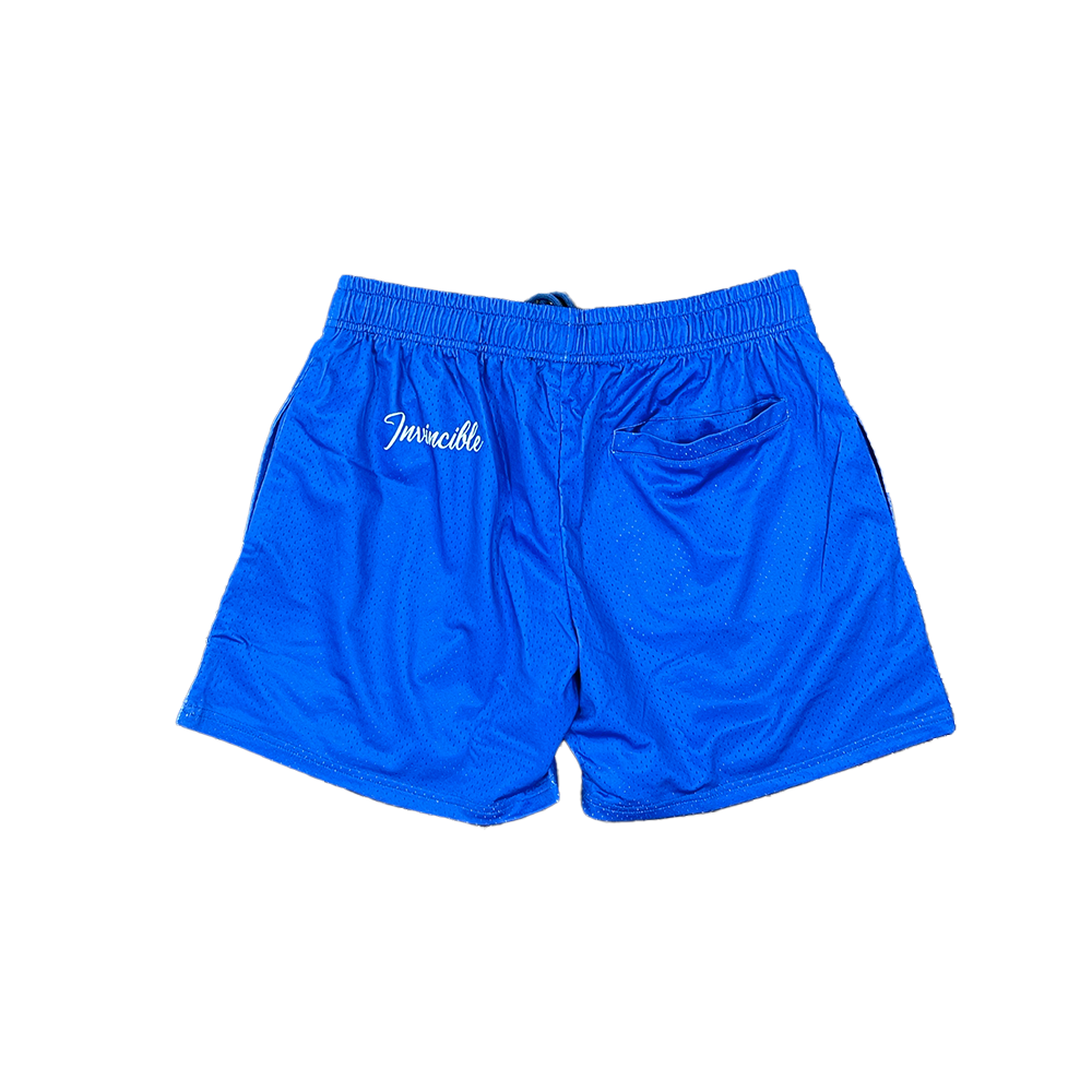 Invincible D Star Mesh Short - Dallas Texas - Blue