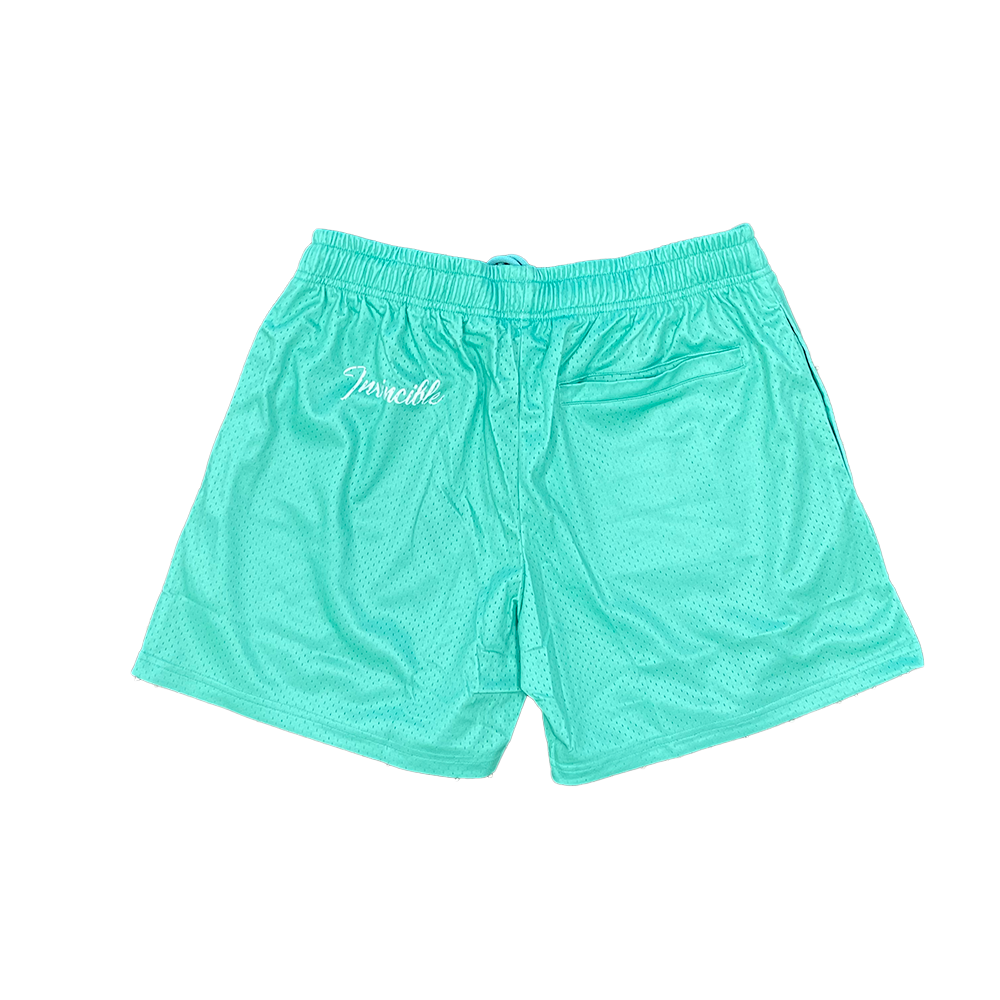 Invincible Staple Mesh Shorts Ice Green