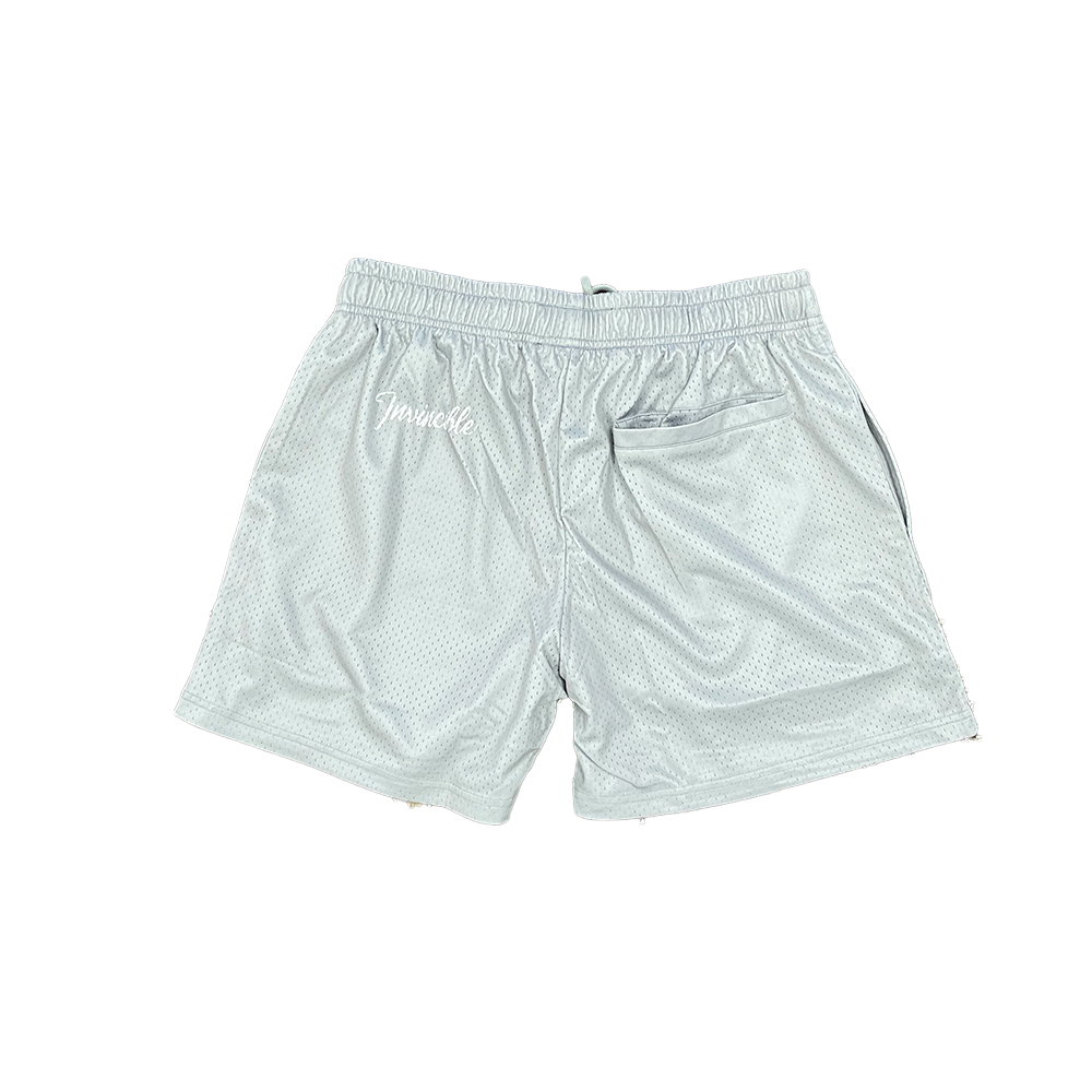 Invincible SA Mesh Short in Grey