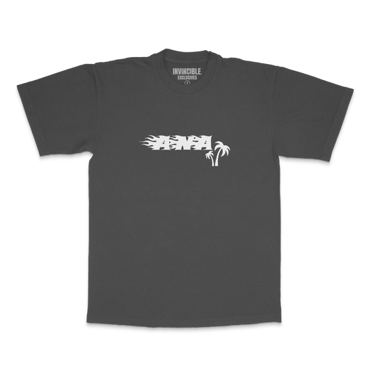 Anaheim T-Shirt Vintage Black