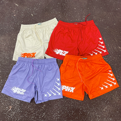 Invincible Mesh Shorts Arizona