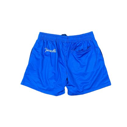 Invincible D Star Mesh Short - Dallas Texas - Blue