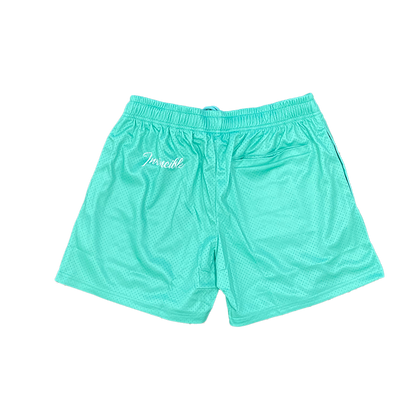 Invincible Staple Mesh Shorts Ice Green