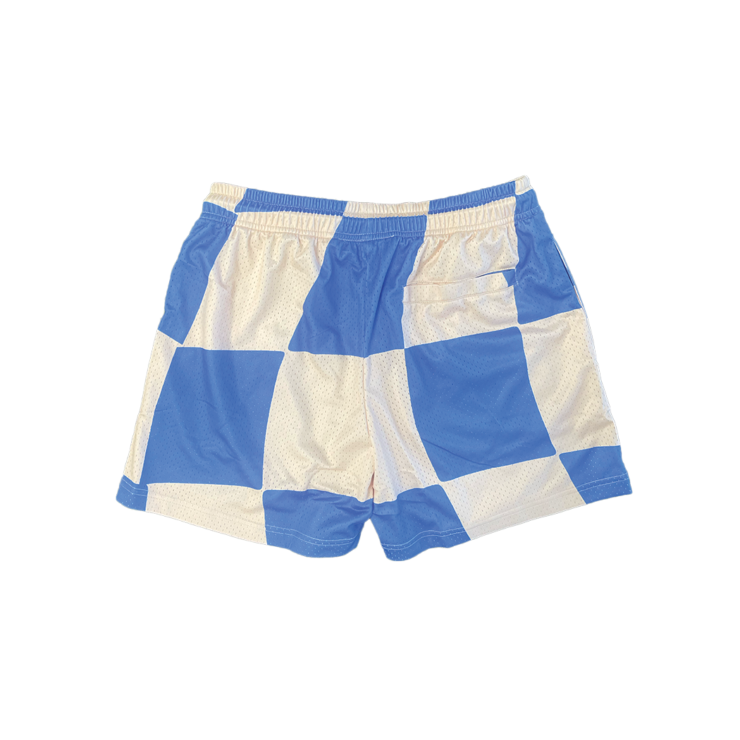 Invincible Exclusives Blue Checker Mesh Shorts | Streetwear / Athletic Mesh Shorts